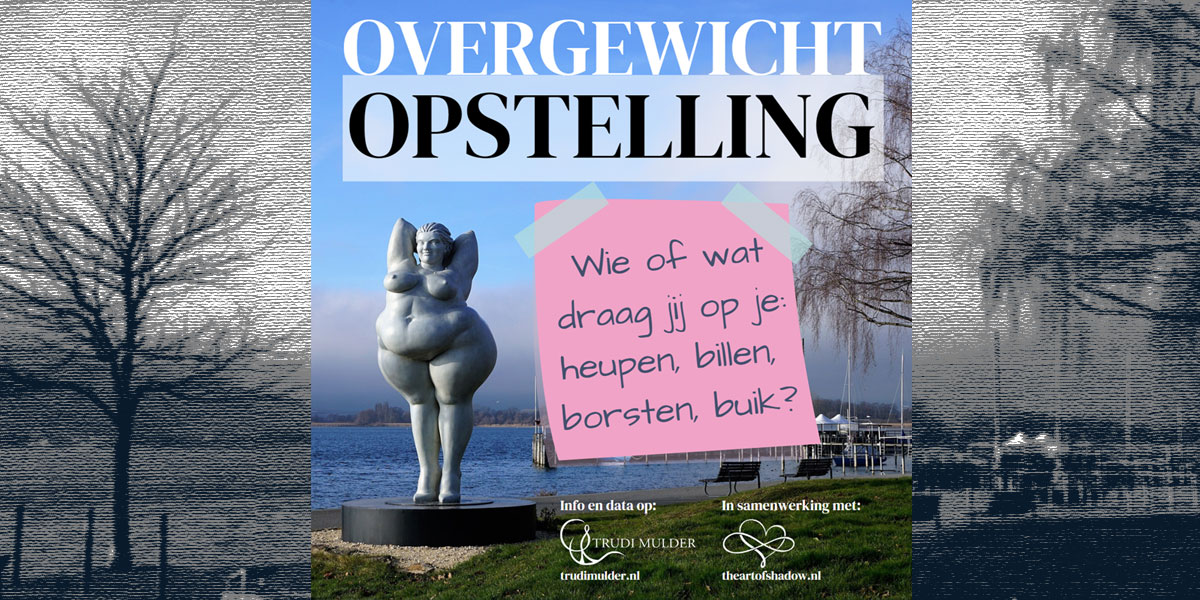 overgewicht overgewicht familieopstelling