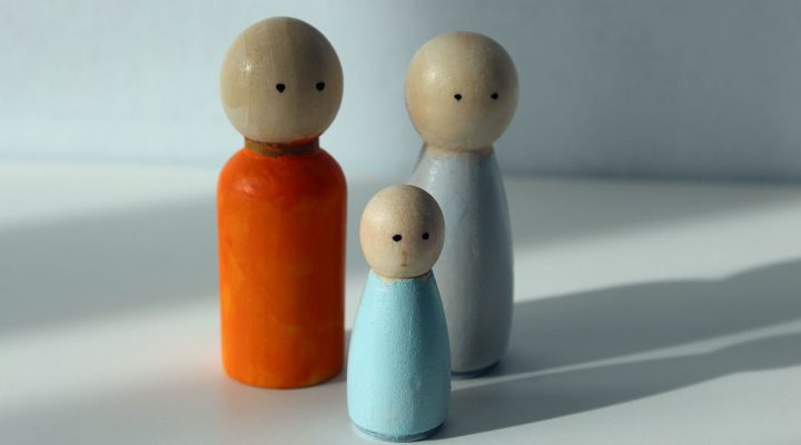 1-op-1 familieopstelling